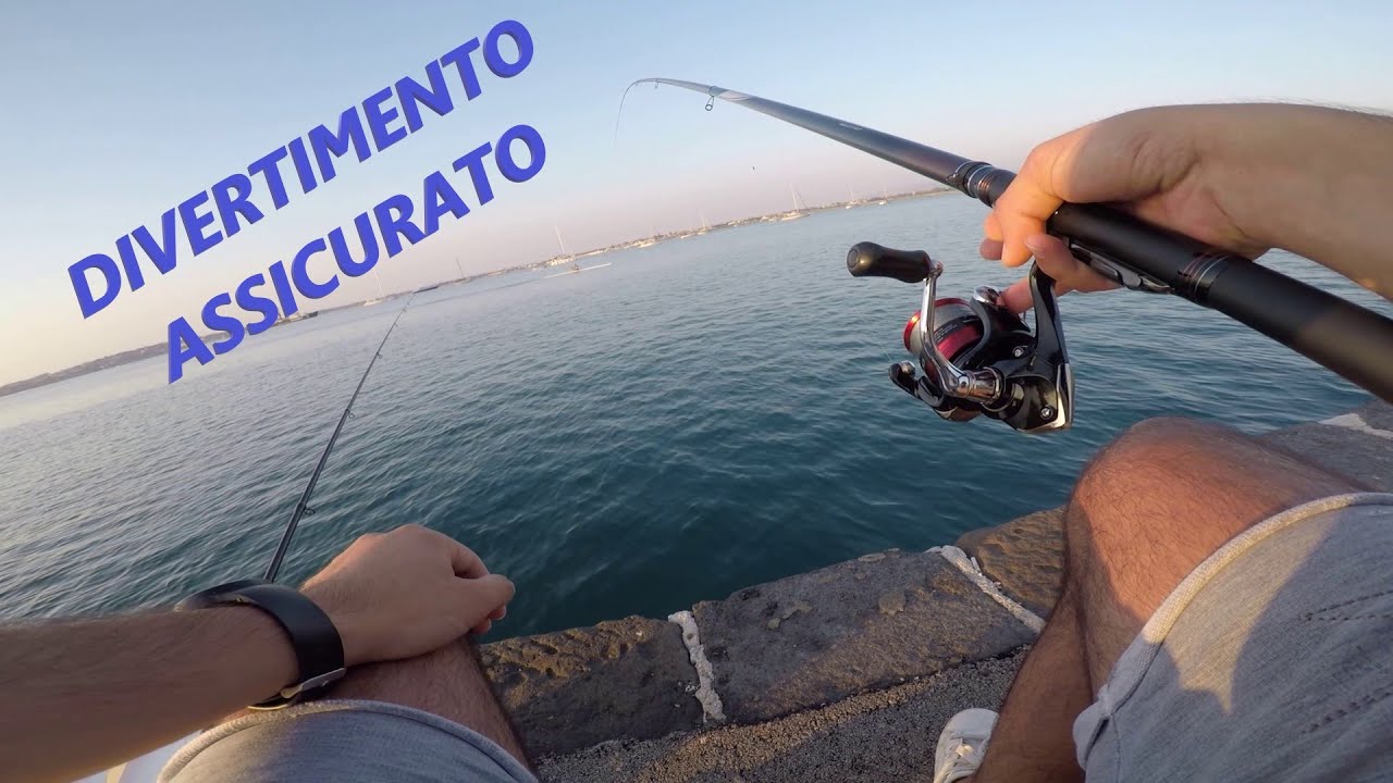 Alba Super Divertente Pescando in Porto con il Gamberetto Vivo - Missili in Canna