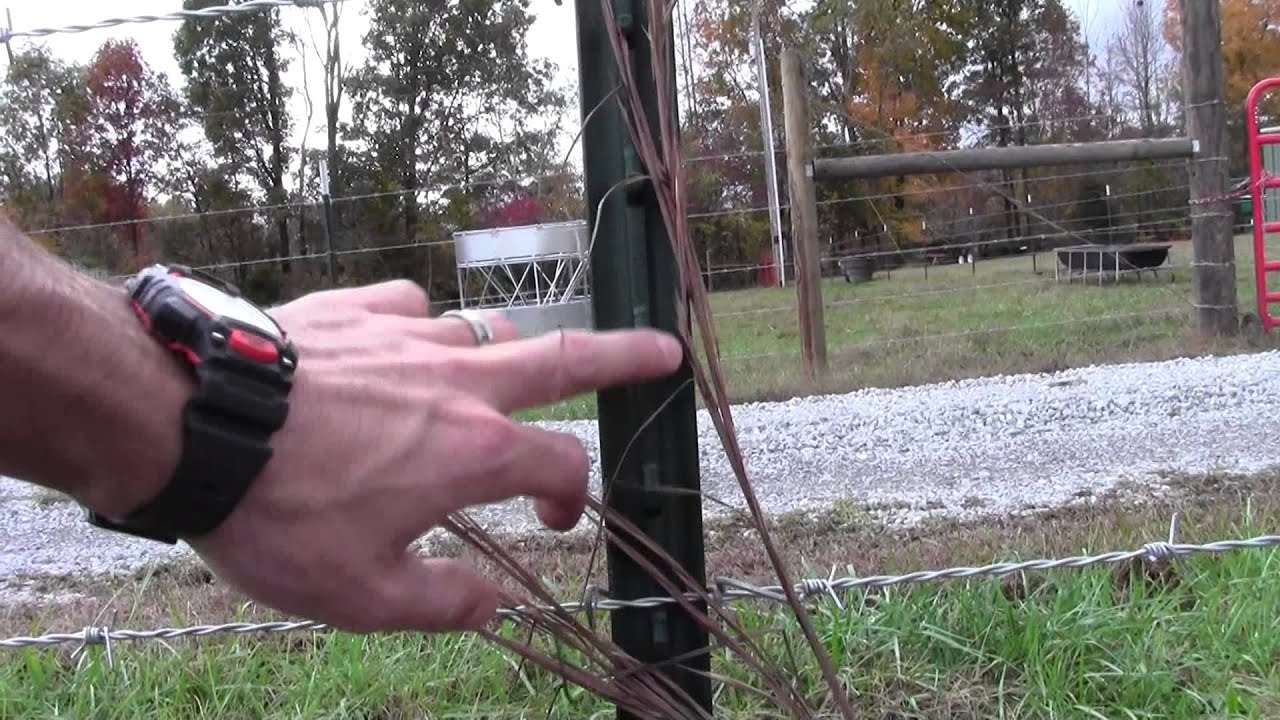Barbed Wire and T-post fence spacing