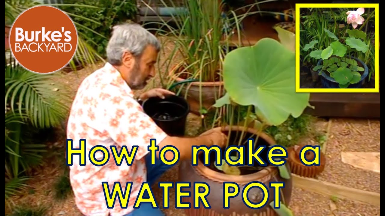 How to Make a Water Garden in a Pot. Water Container Garden. Lotus in a Pot.