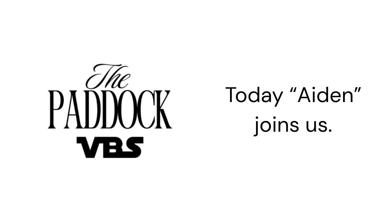 The Paddock: Episode 2