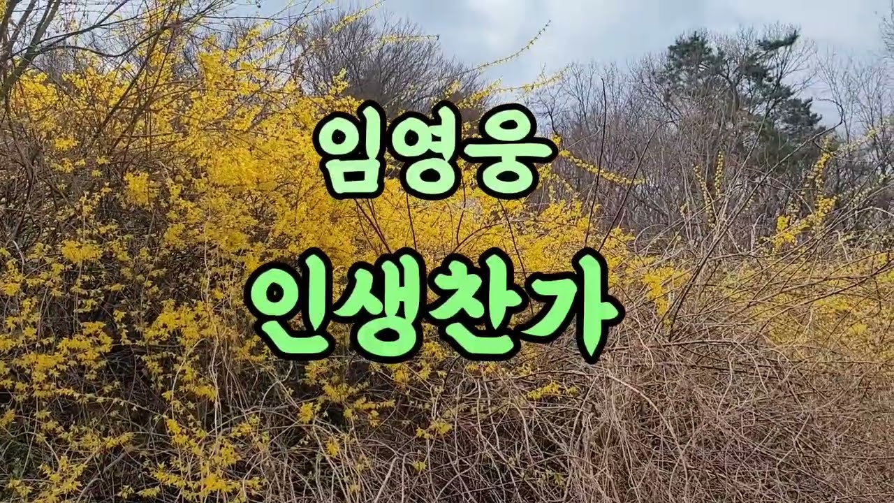 임영웅 인생찬가 #불후의명곡 #윤명선작사작곡가 #라포엠