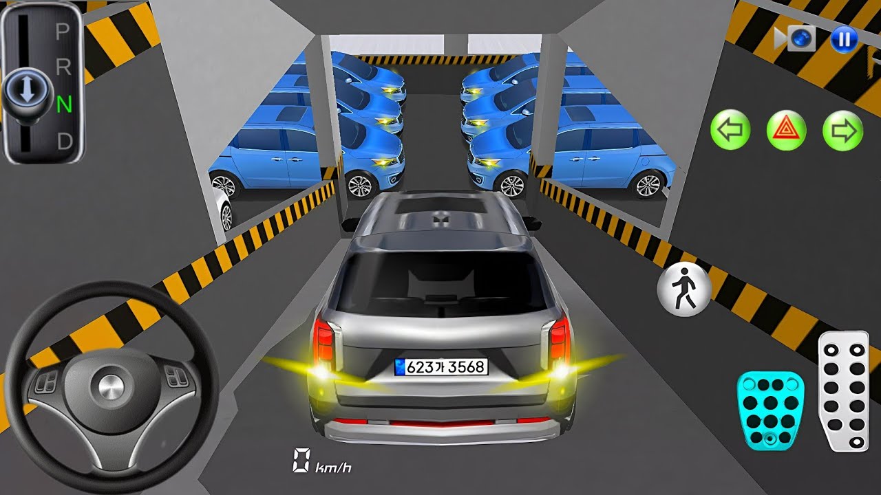 New Palisade SUV 🚗💥 & All OLD Kia Carnival 🚙💨 Stuck in Parking Garage 🅿️ 3d Driving Class 2026 🎮