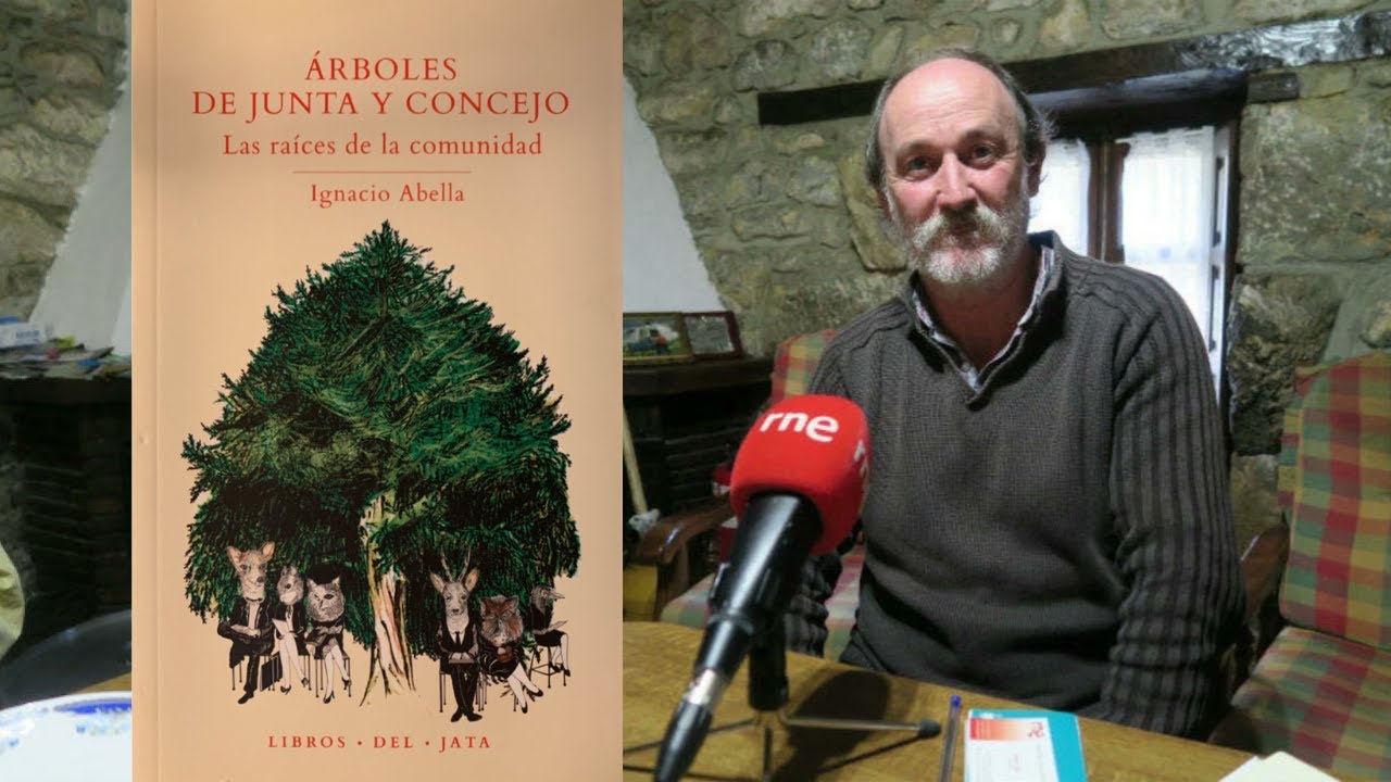 ÁRBOLES DE JUNTA, guardianes de la palabra (Documentos RNE, 2017)