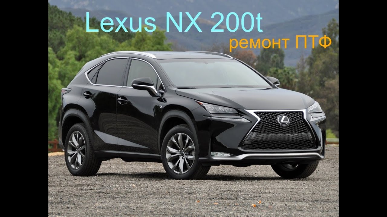Lexus NX. Ремонт ПТФ. Попадание воды!