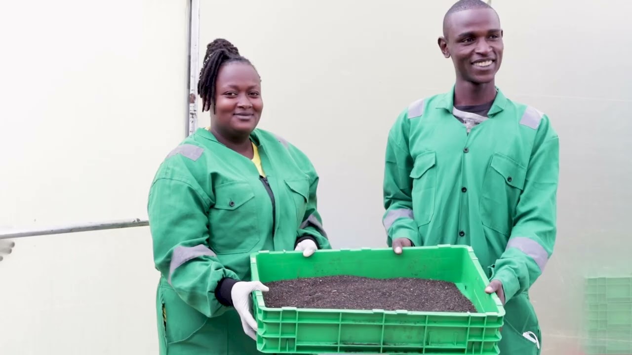 Turning trash to cash by SEHub.