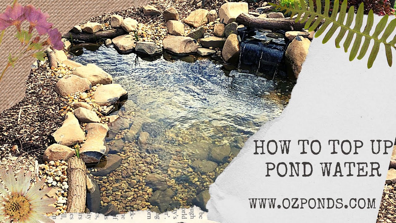 How to top up pond water