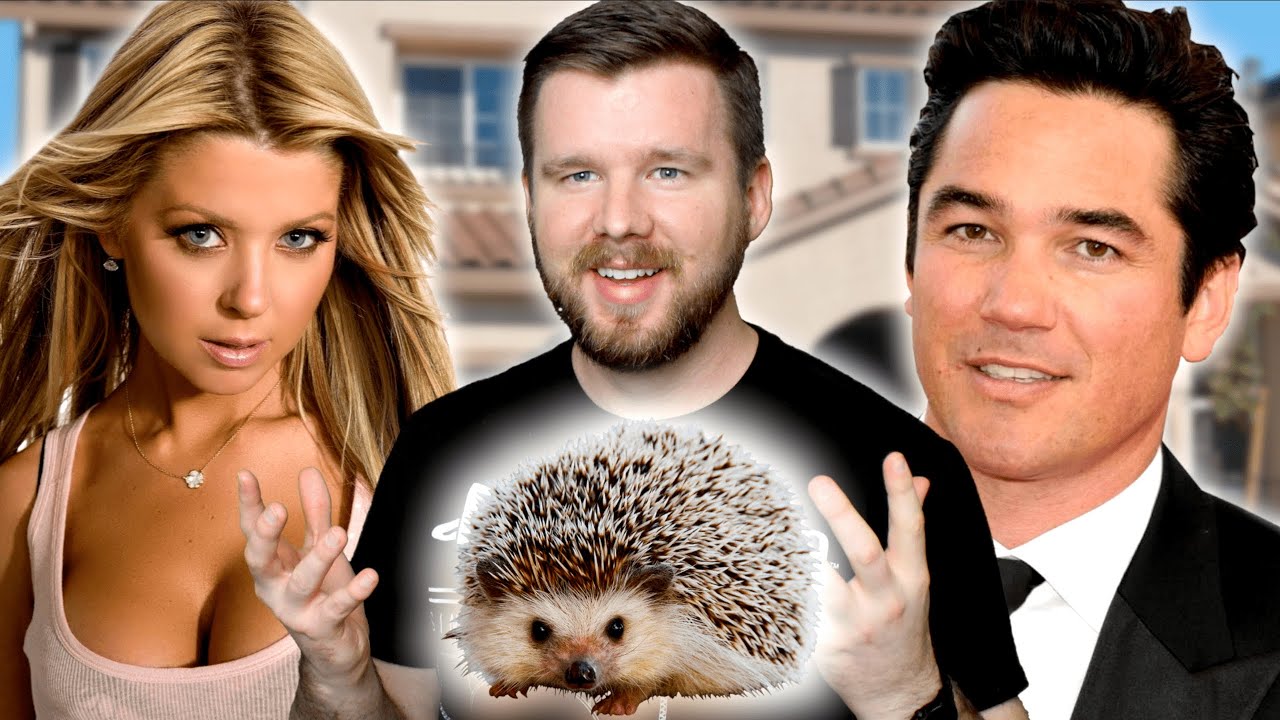 The Only Hedgehog Movie You Need to Watch || Andy the Talking Hedgehog