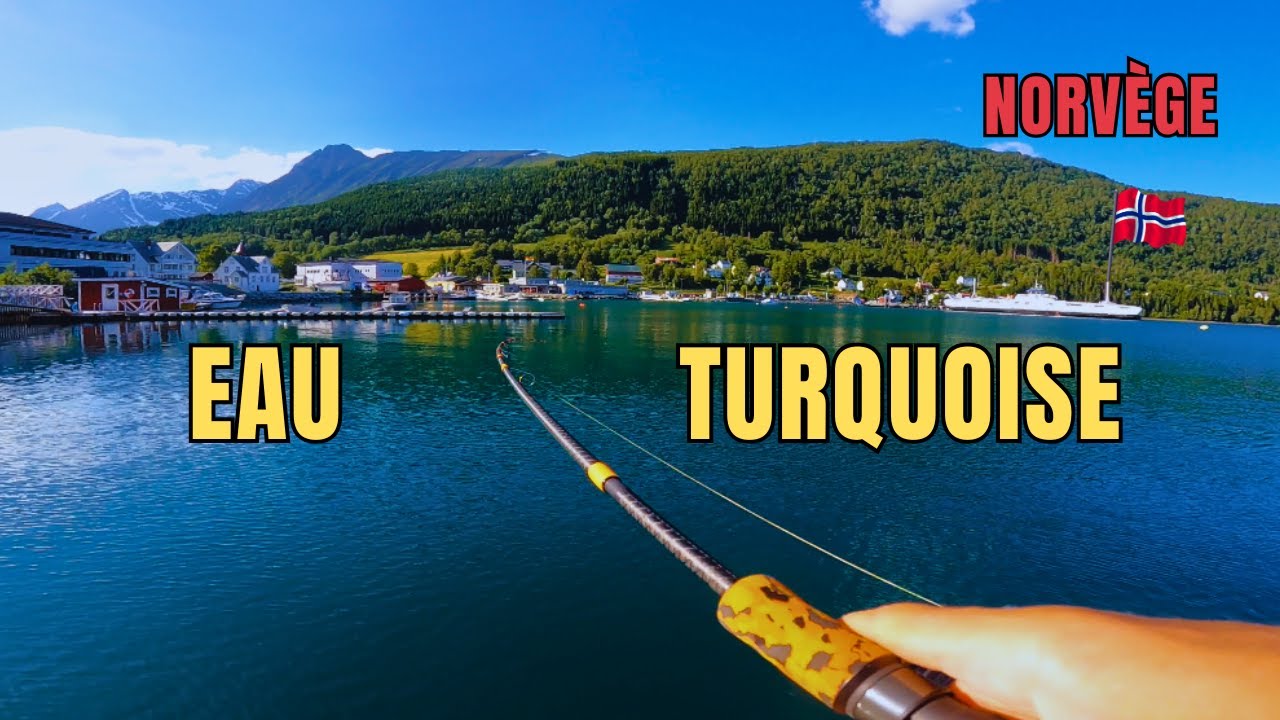 On pêche dans un port incroyable au nord de la Norvège ! (🇳🇴 EP.2)