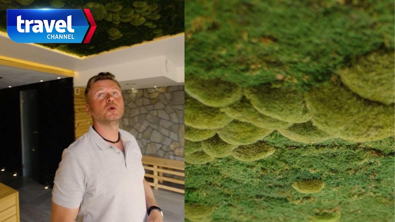 Do aranżacji tego pomieszczania właściciele sprowadzili mech z Norwegii!  [Porada na weekend]