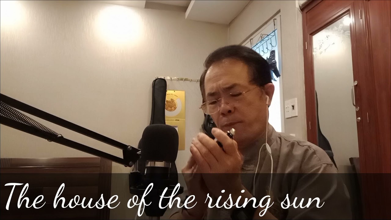 The house of the rising sun  - Harmonica Chromatic Cover