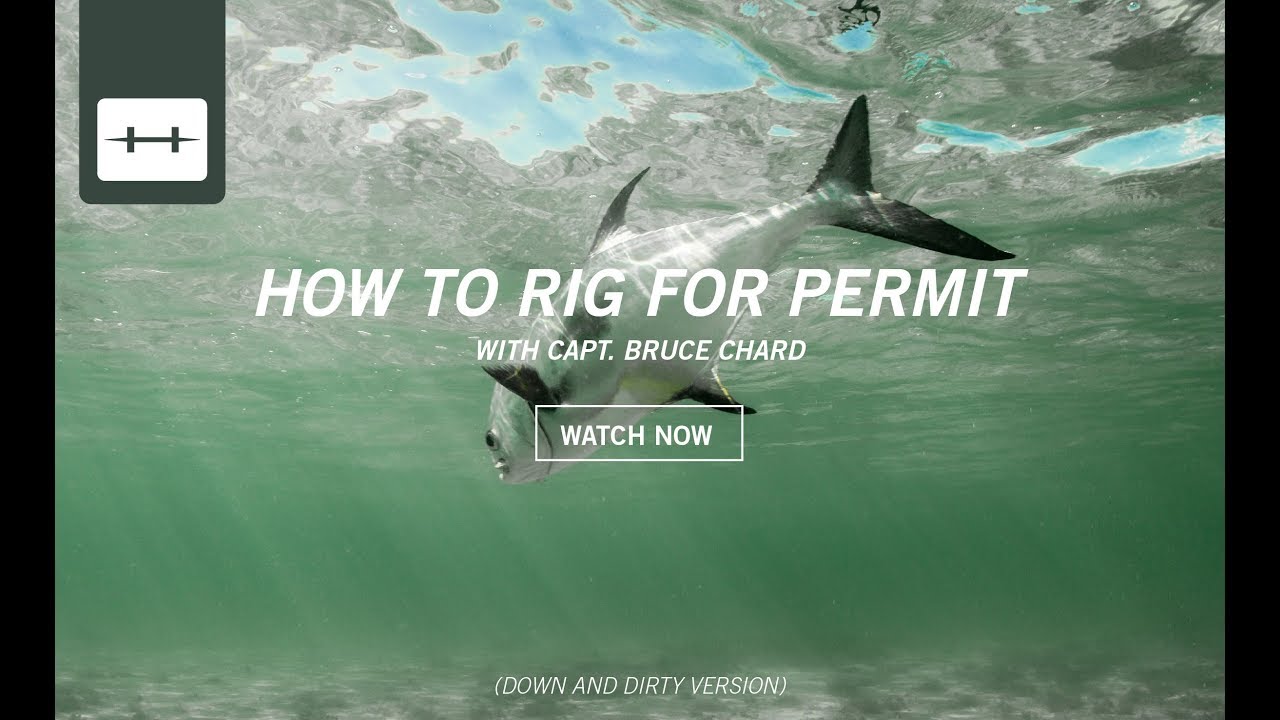HOW TO RIG FOR PERMIT [DOWN & DIRTY VER]