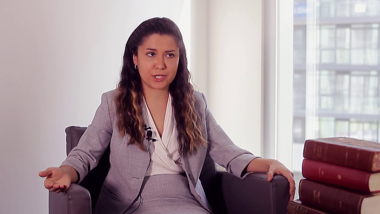 Do you really need a help of an immigration expert?