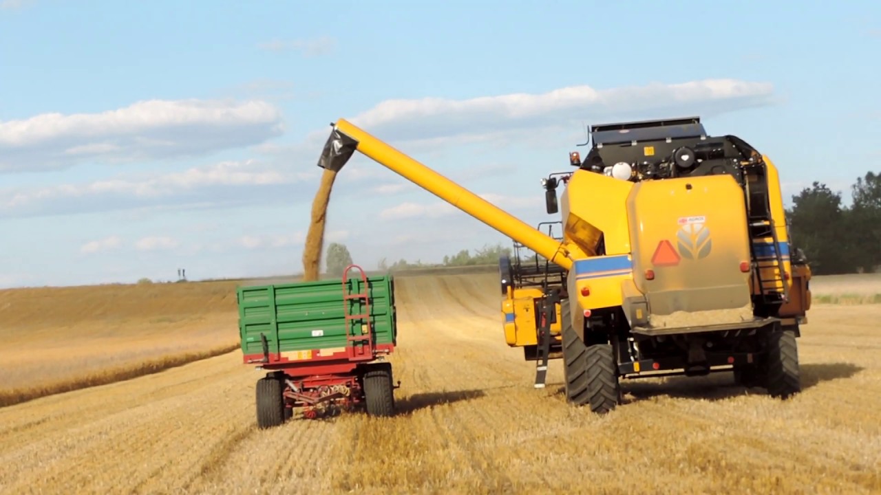 | New Holland TC5.90 | Nowy Nabytek ☆Żniwa 2019 ☆ Jęczmień Ozimy☆ Smerfy w akcji ☆