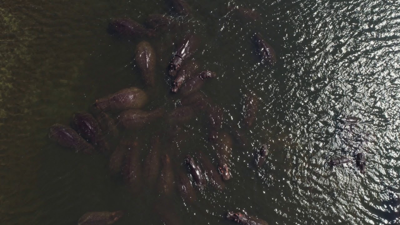 South African nature and landscape Drone shots