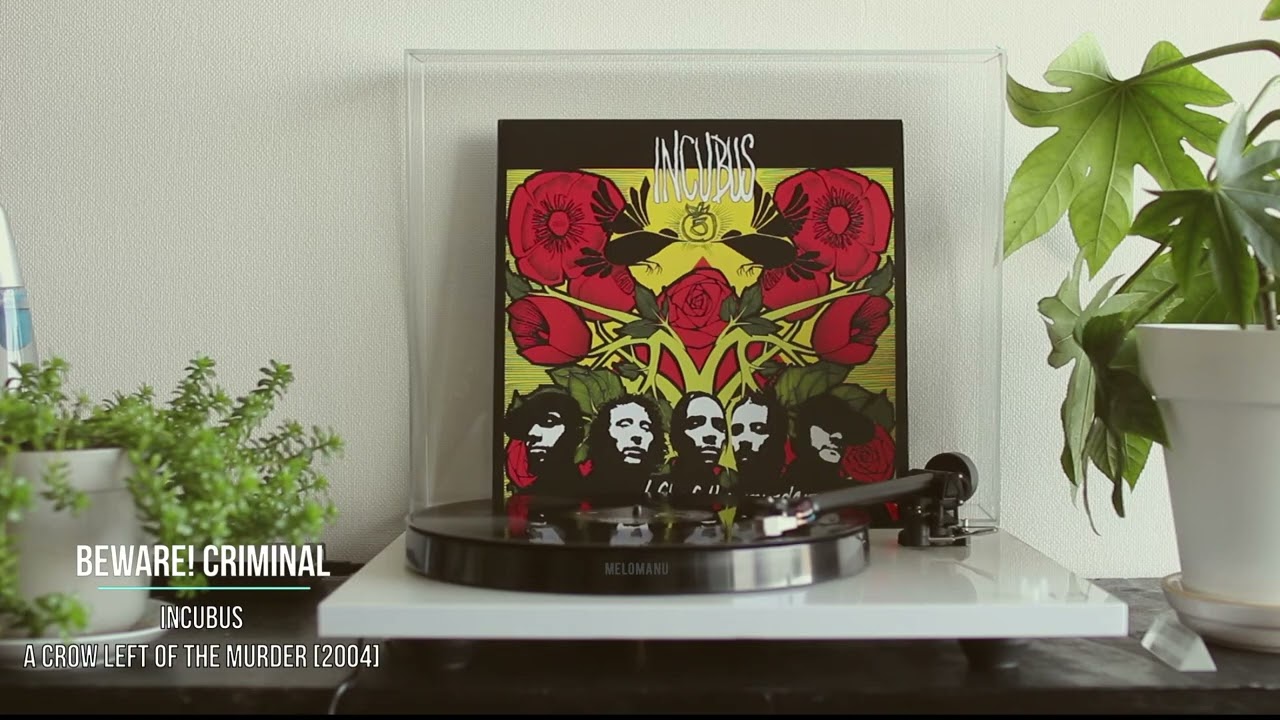 Beware Criminal by Incubus