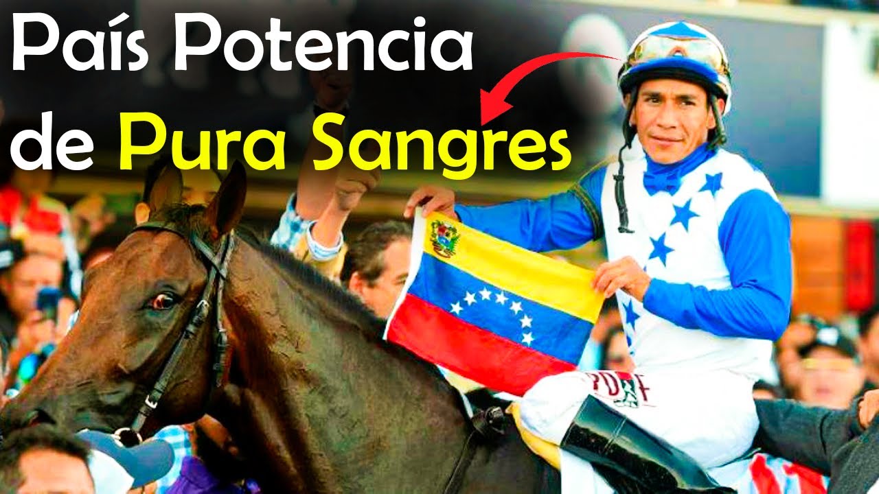 CLÁSICOS del CARIBE Ganados por VENEZUELA (Serie hípica del Caribe 2022)