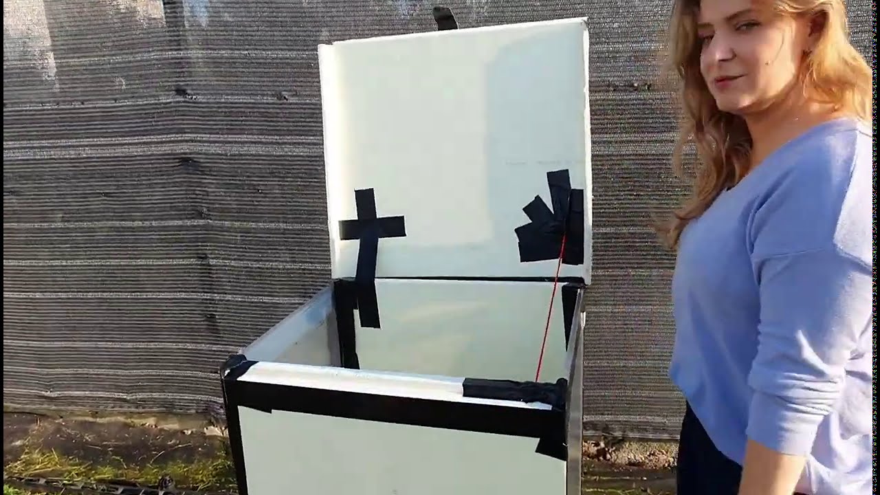 BestpalmTV. Z kamerą u klientki, Poznań. Pani Marta pokazuje jak zrobić tanio i szybko dom dla palm.