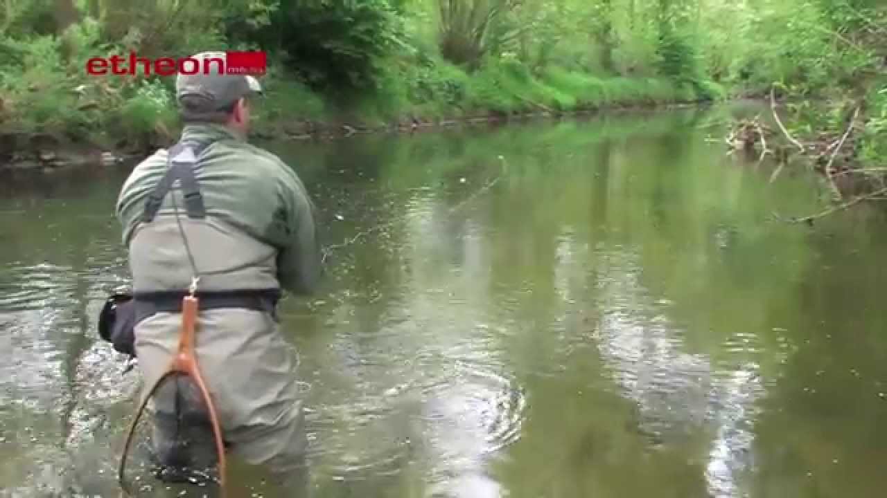 Fliegenfischen f&uuml;r Einsteiger - Streamerfischen