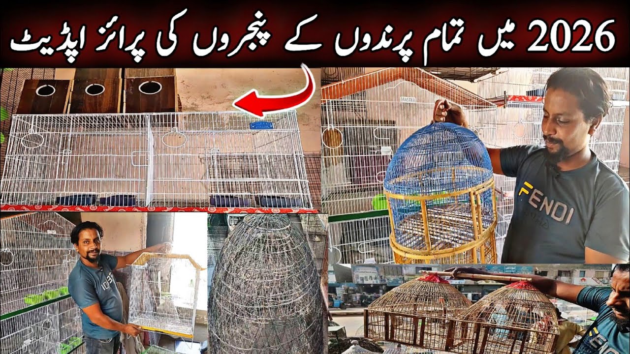 Birds Cage Price In Karachi 2026||Bird Cage Market In Karachi||Adnan Cage Center|Global Birds Lovers