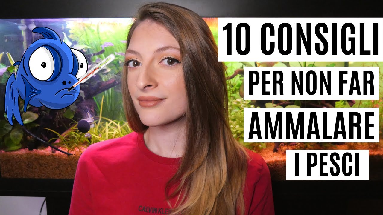 10 CONSIGLI PER NON FAR AMMALARE I PESCI 🤒🐠