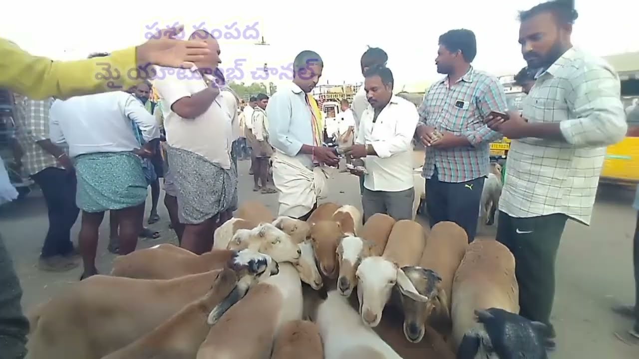 Pattikonda Santa