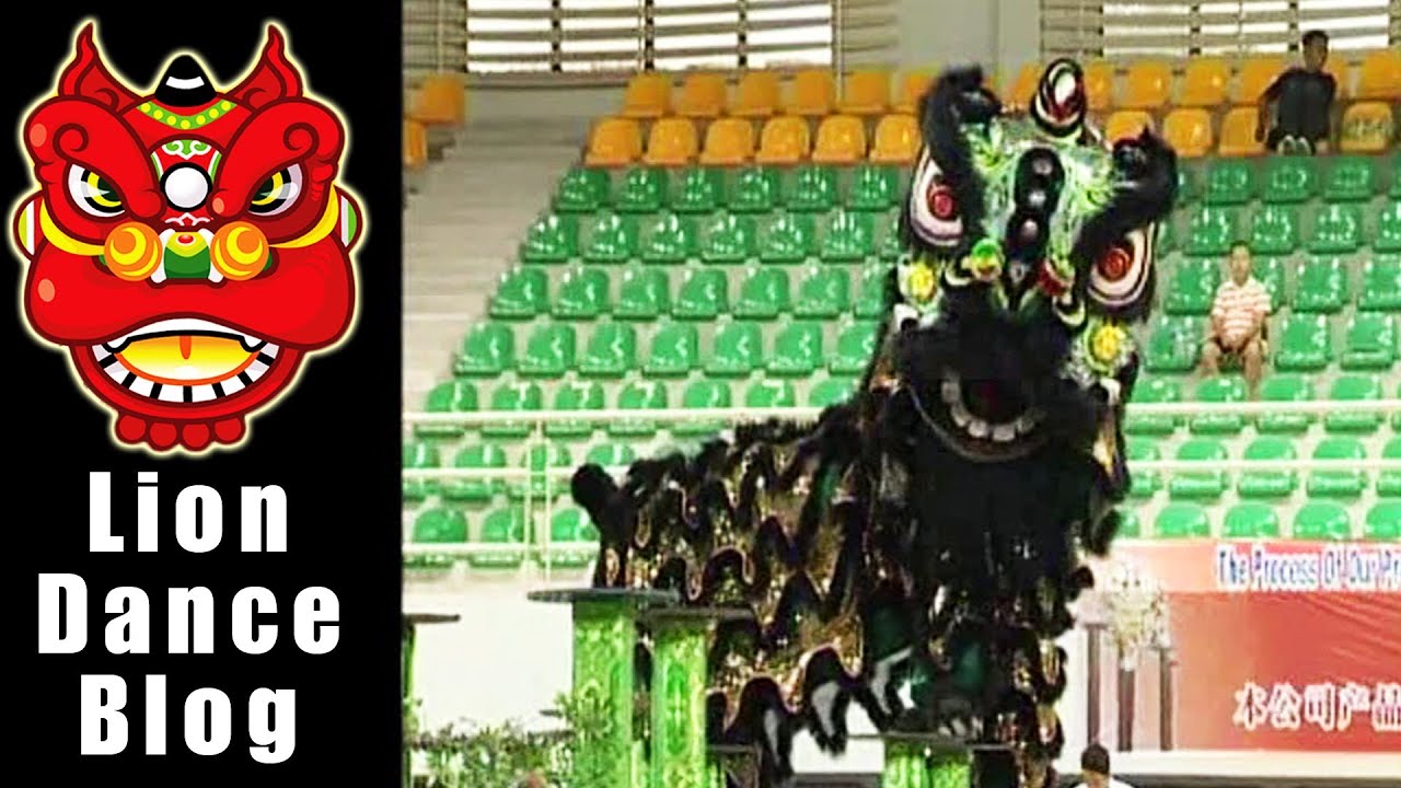 2008 Lion Dance Competition - The Selangor Qunle Long Division
