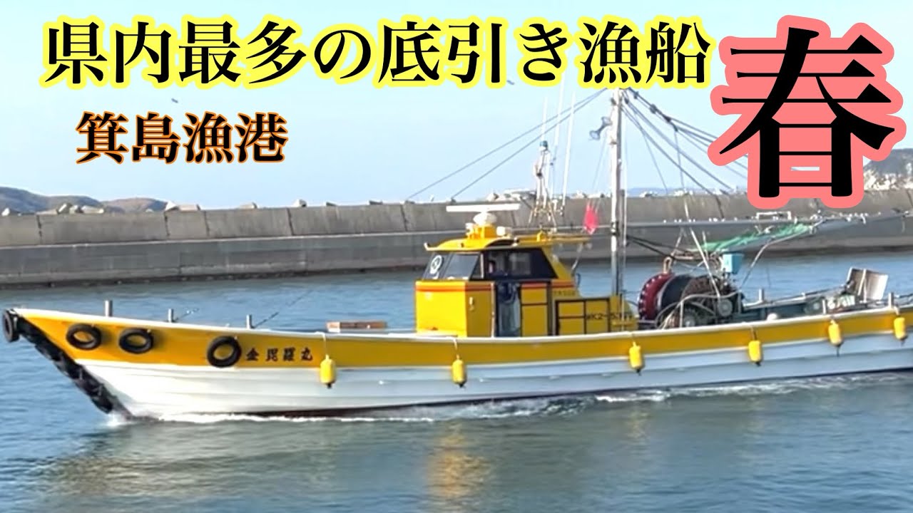 覚悟しないと獲れない魚❗️箕島漁港の春の様子！和歌山県最多の底引き漁船がある港
