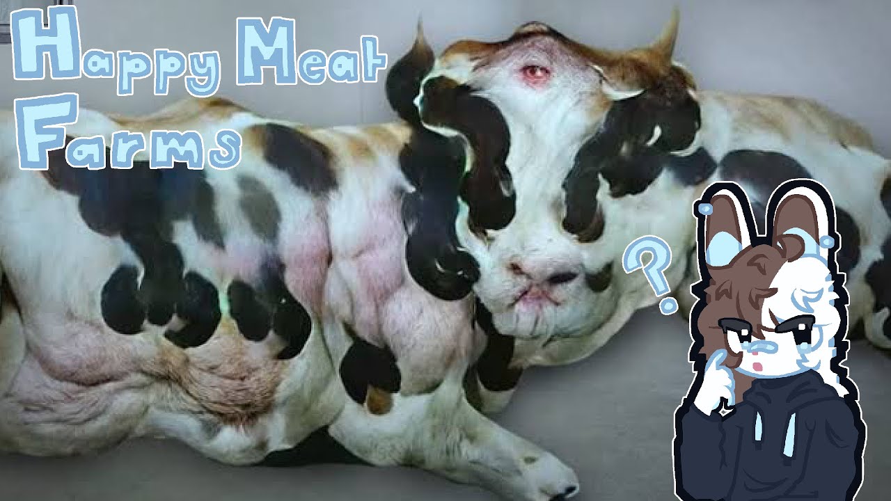 LET'S WATCH ▸ happy meat farms [arg reaction]