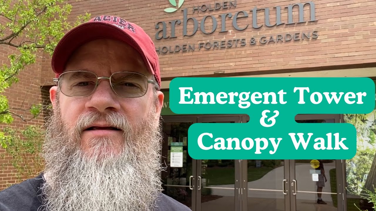 Holden Arboretum - Emergent Tower & Canopy Walk Tour - Kirtland, Ohio