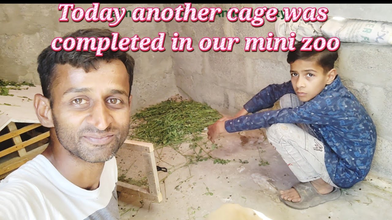 today we introduce you to our animals 😄 #viral #trending #vlog #animals #wildlife 