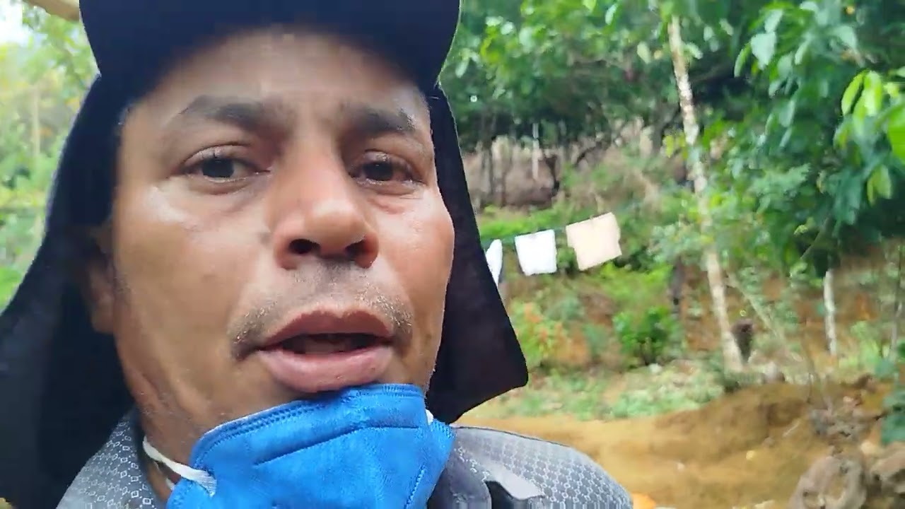 Como preparar inseticida para fazer aplicação no cacaueiro.