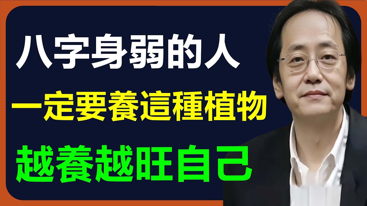 身弱之人一定要養這種盆栽，它能淨化家中磁場、吞吃病氣，是最好用的風水法寶。#倪海廈 #易经 #八字 #占卜 #算命
