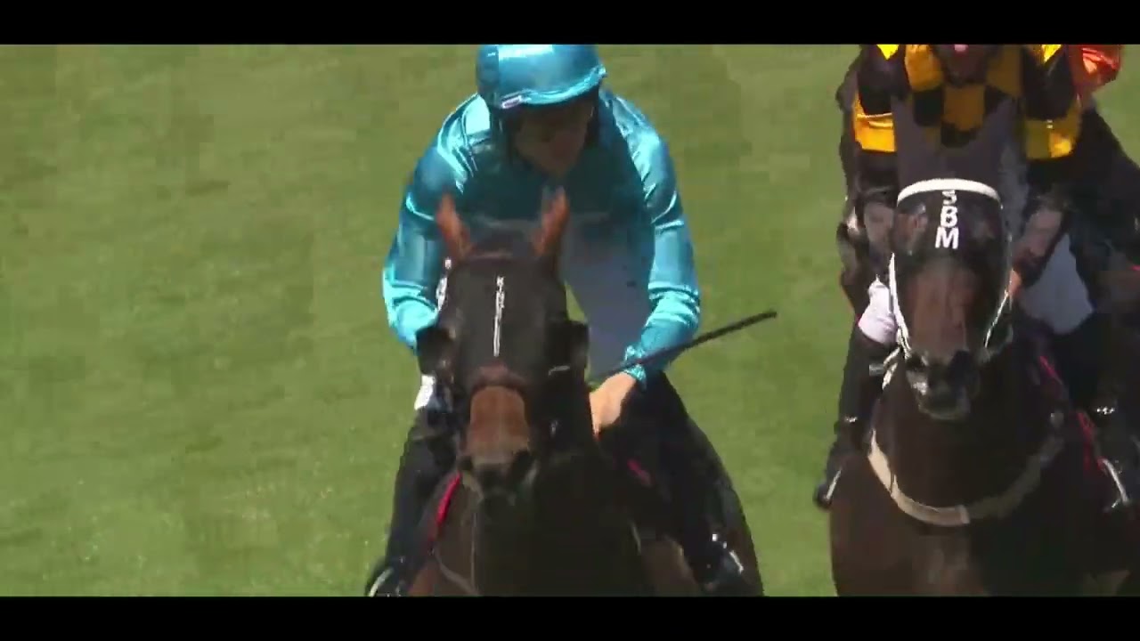 Sweynesday & Alabama Lass - 2026 King's Plate