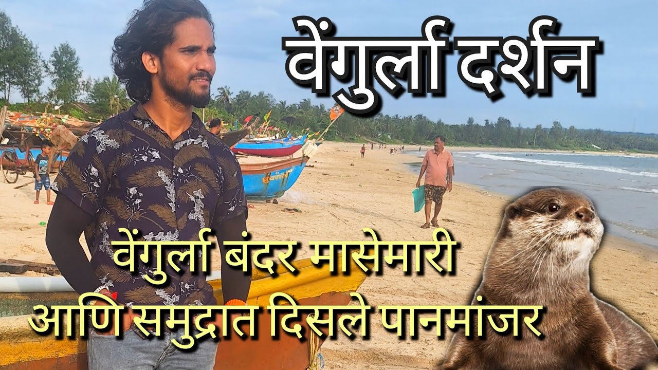 #वेंगुर्ला बंदर #मासेमारी आणि #समुद्रात दिसले #पानमांजर