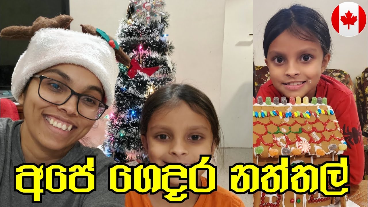 අපේ ගෙදර නත්තල් | Christmas Celebration 2023| සිංහල |Canada Sinhala Vlogs| @SehaVlogs