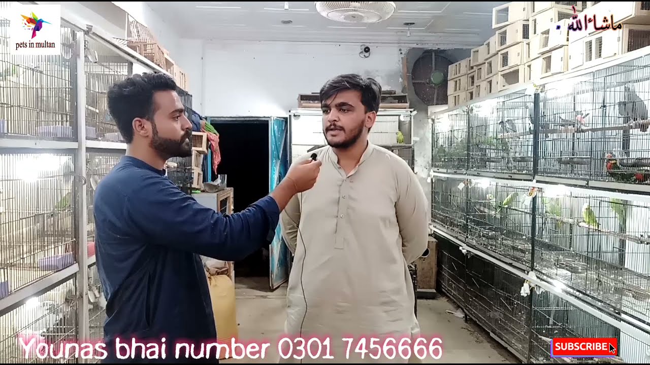 Multan Birds market rasheedabad 2021 || Birds price update || 