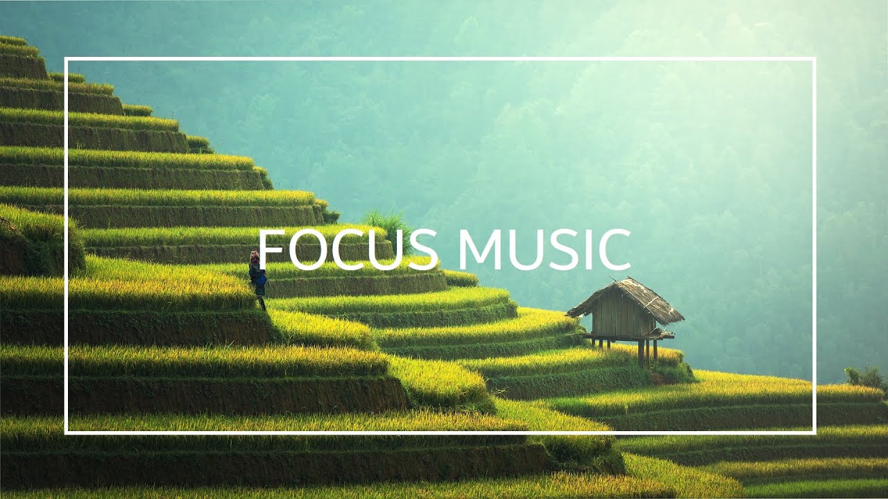 Study Music 29 - 4 hours of focus music - Focus
