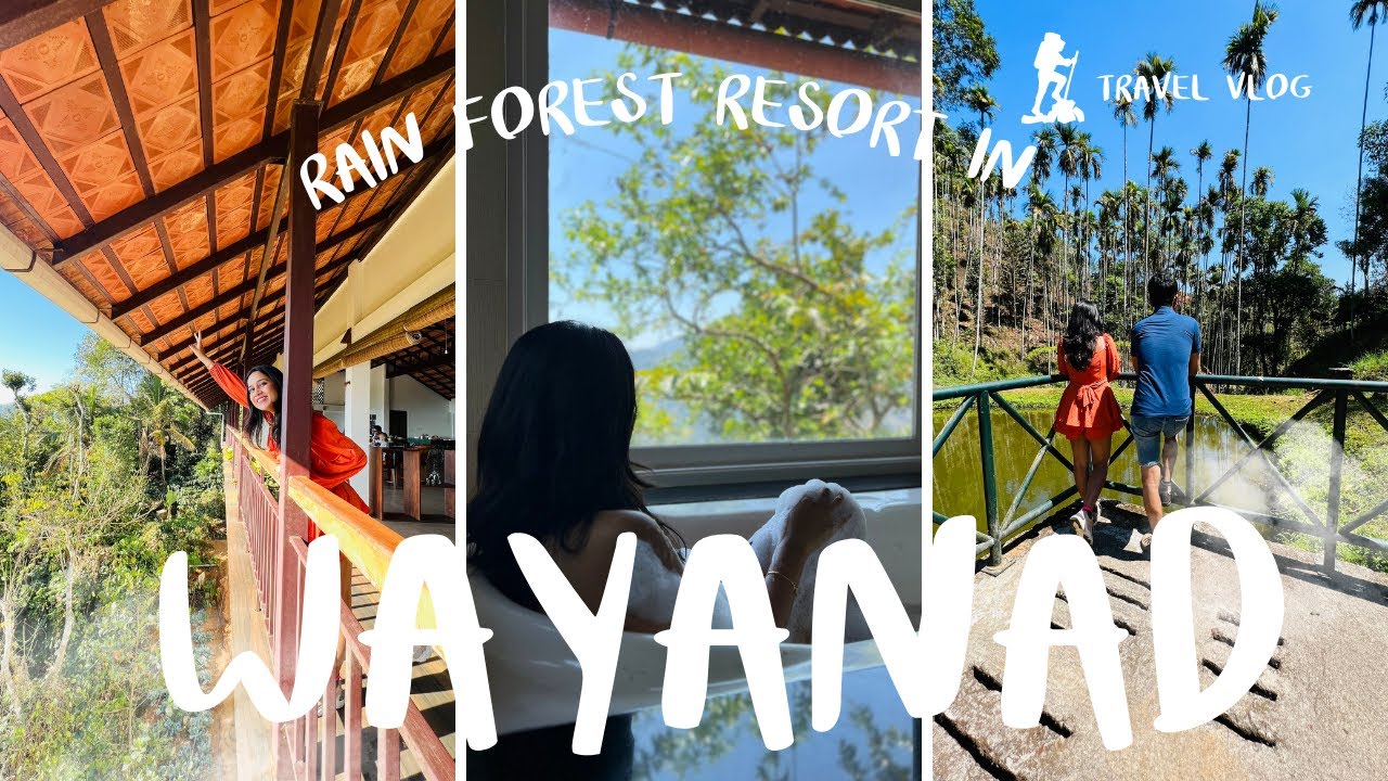 Wayanad Forest stay | Wayanad Rain Forest resorts | Best Eco Friendly Resort in Wayanad Vlog
