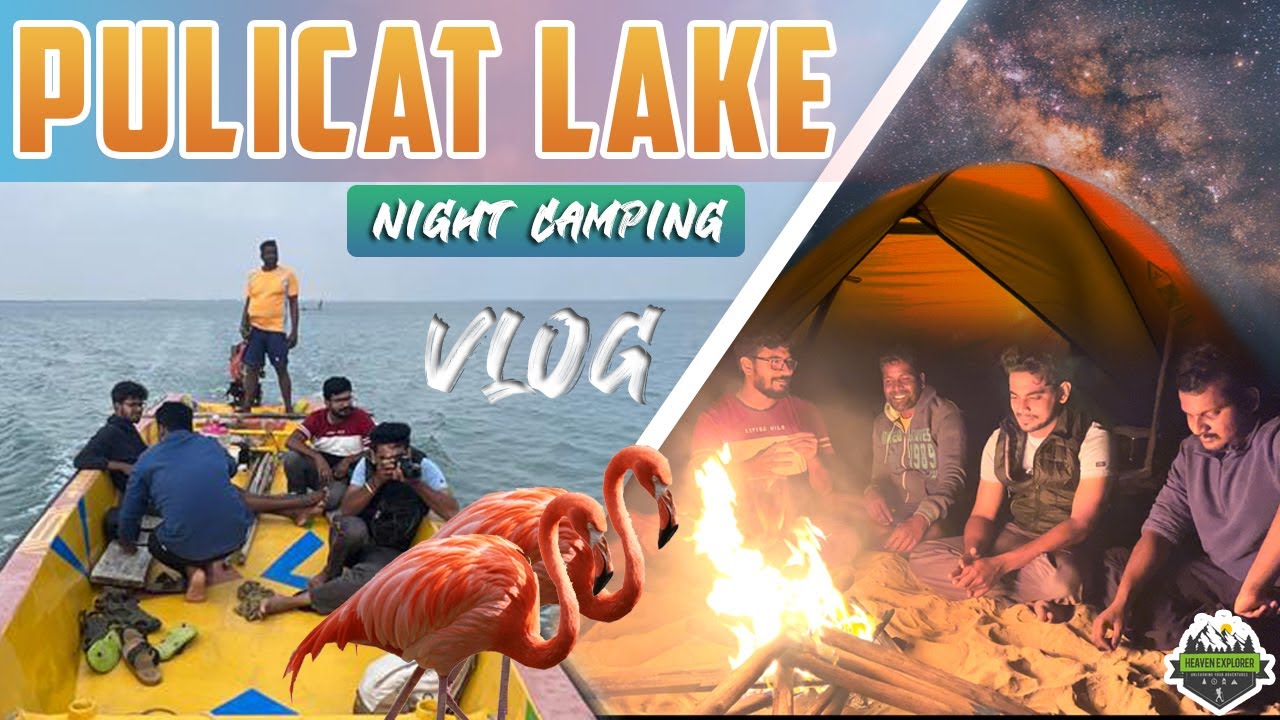 Pulicat Island Night Camping | Pazhaverkadu boating | One day trip near Chennai!