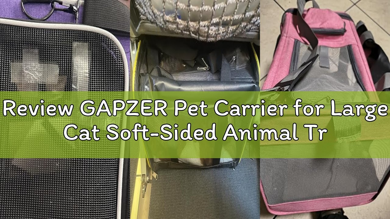 Review GAPZER Pet Carrier for Large Cat Soft-Sided Animal Traveling Bag for Medium Cat up to 20lbs /