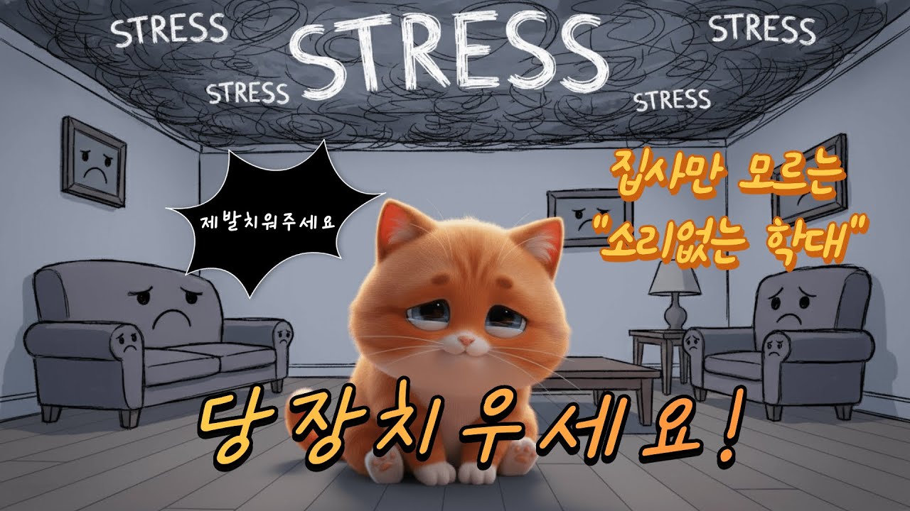 이거 쓰면 고양이 스트레스 폭발합니다 / 우리의 사랑이 고양이에게는 고통이었을지도 모릅니다 / 90%의 집사가 매일 저지르는 실수/#cat #고양이#길냥이