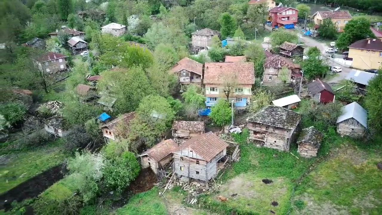 Sinop / Ayancık / Kalıdrayak Köyü / Heyelandan sonra ilk bahar (1 Mayıs 2022)