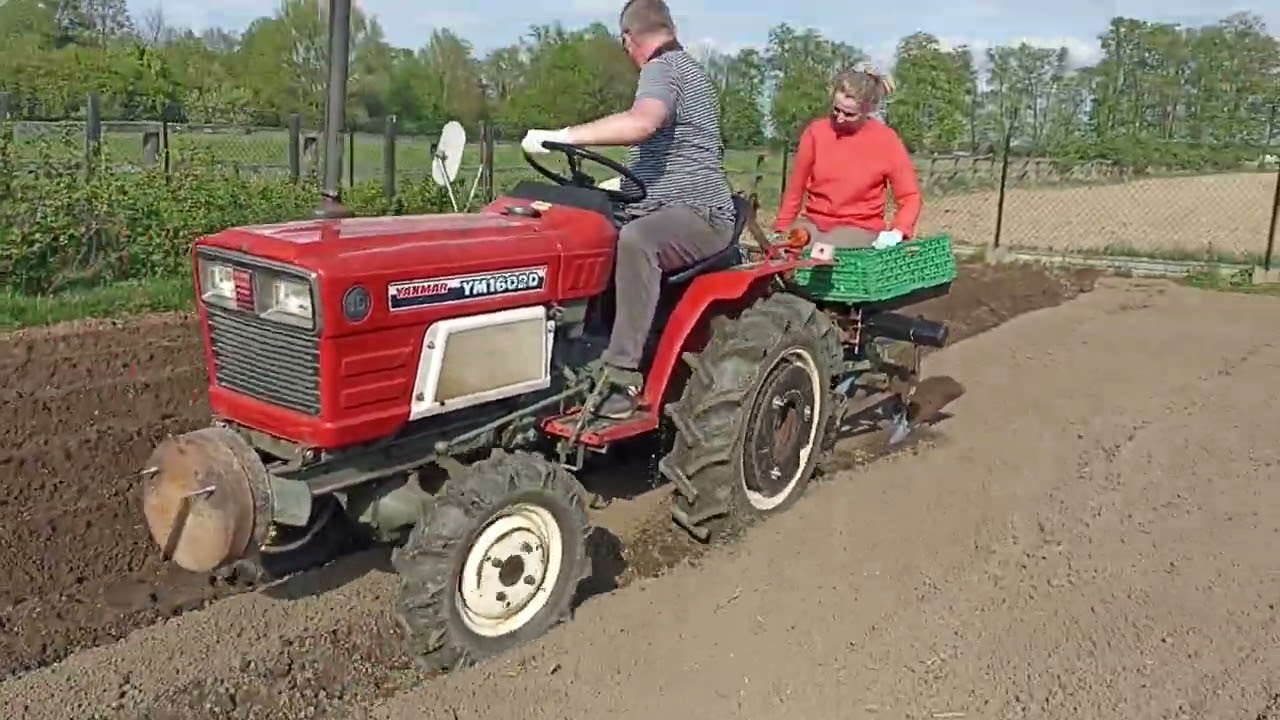 Yanmar YM1602D Iseki, Kubota minitraktorek Sadzenie ziemniaków 2025