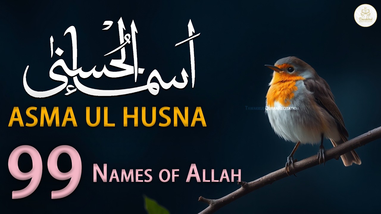 99 Names of ALLAH ASMA UL HUSNA  Peaceful Voice By Alaa Aqel
