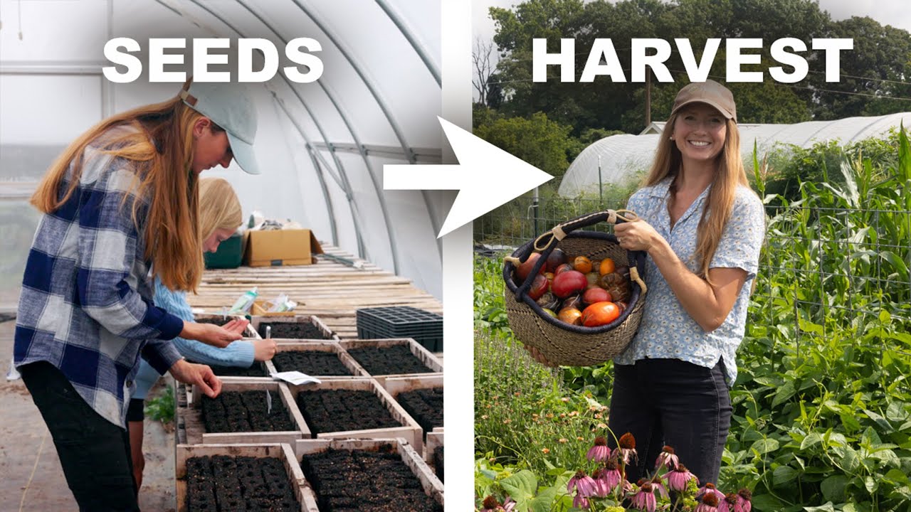 From Seed to Self-Sufficiency - Steps We’re taking for a Successful Growing Season
