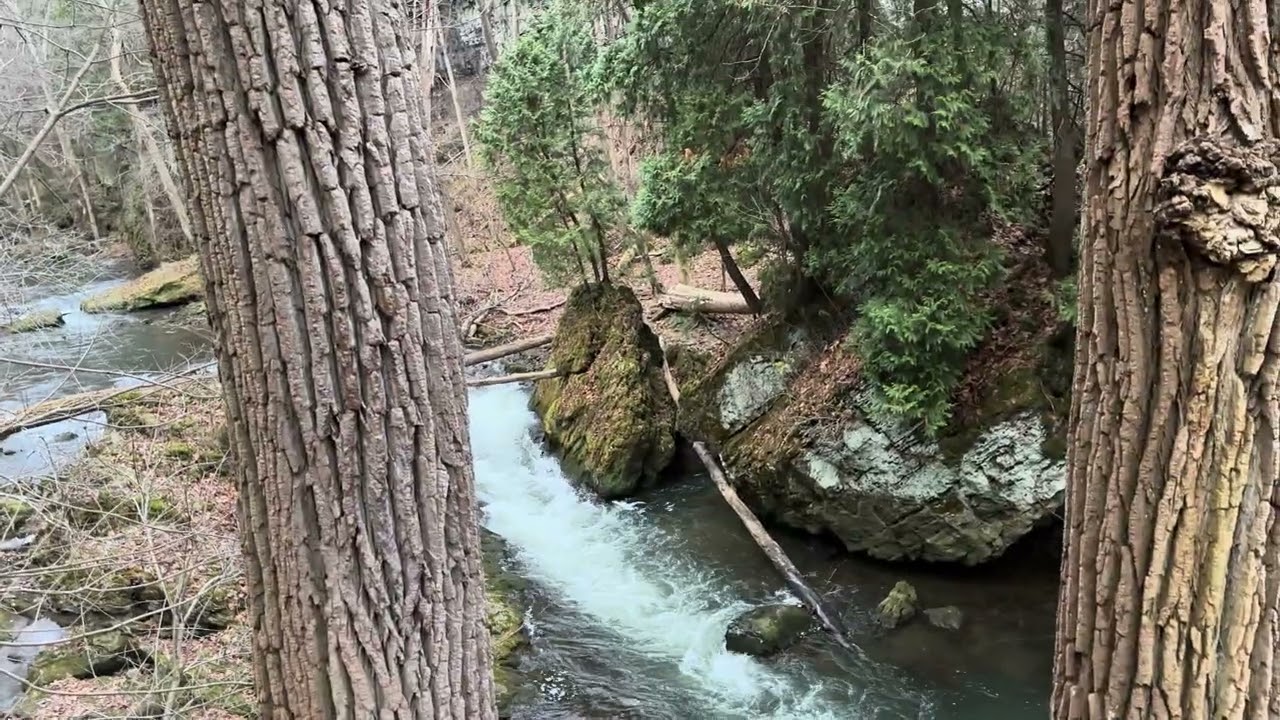 Clifton Gorge - Nature walk