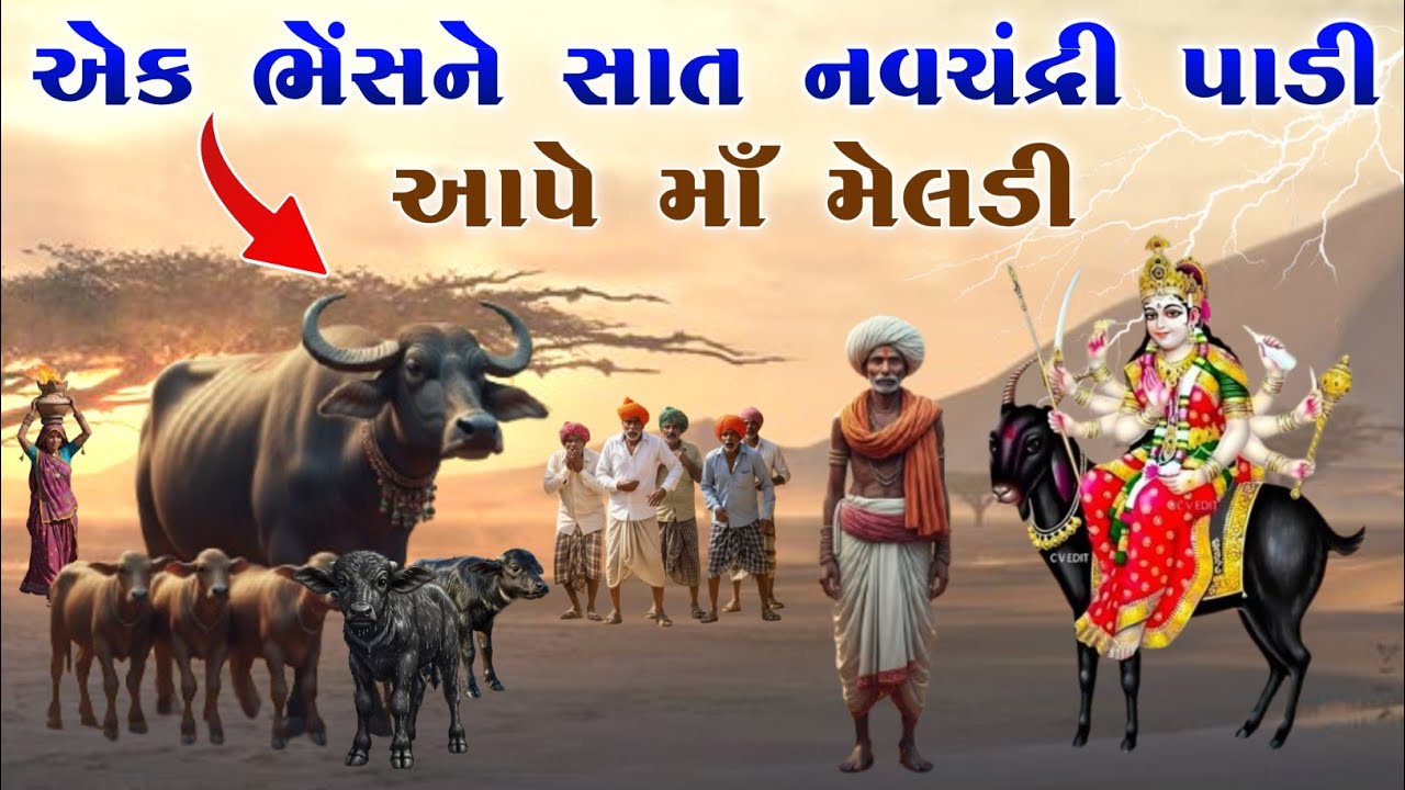 એક ભેંસને સાત નવચંદ્રી પાડી આપે માઁ મેલડી | Meladi ma no itihas | vahanvati digital