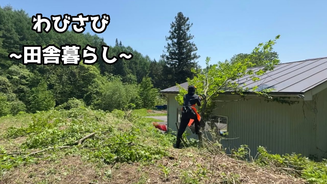♯11 ガレージ周りの草刈りと木の伐採【田舎暮らし】