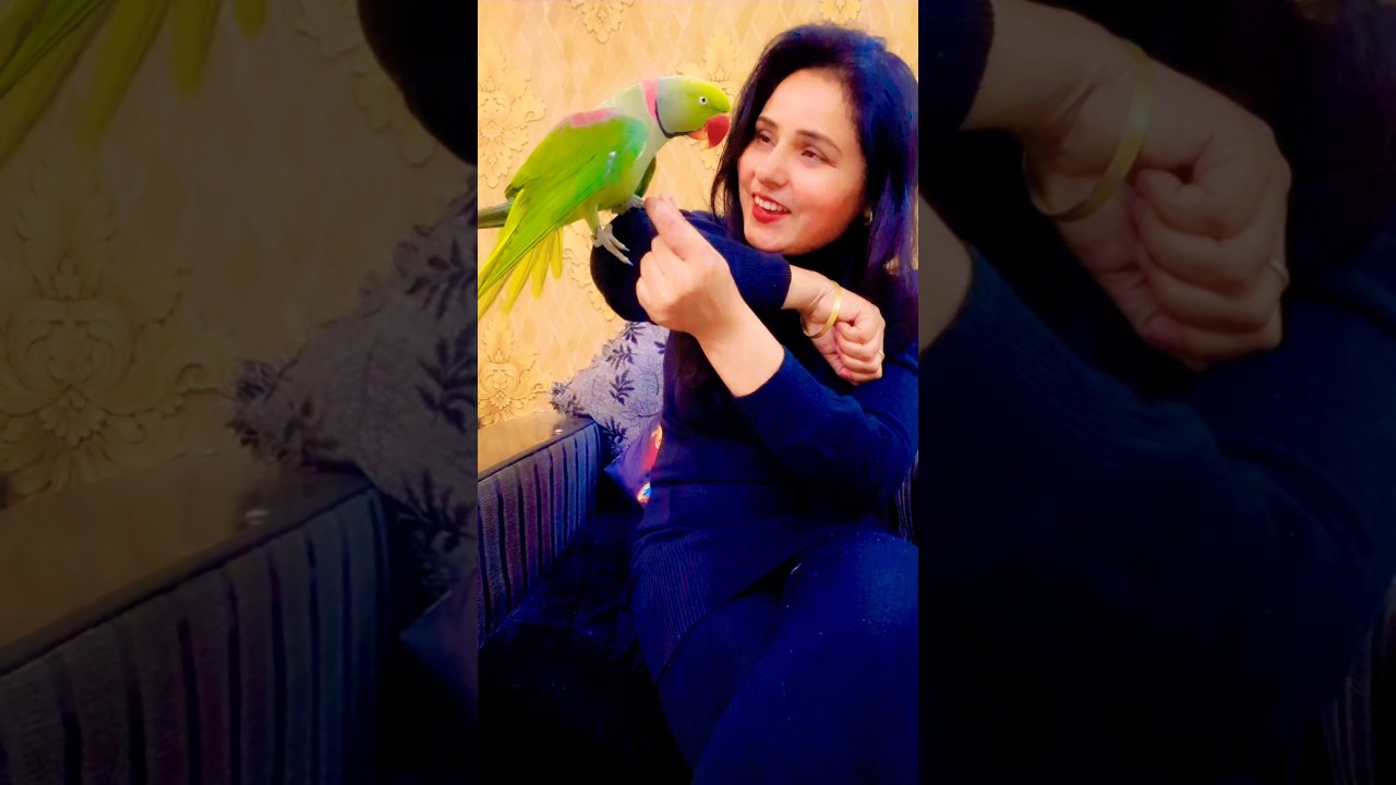 Pablo Mummy ka Cute Beta Aaya 😍 #Shorts, #YouTubeShorts, #viral, #trending, #funny,  #comedy