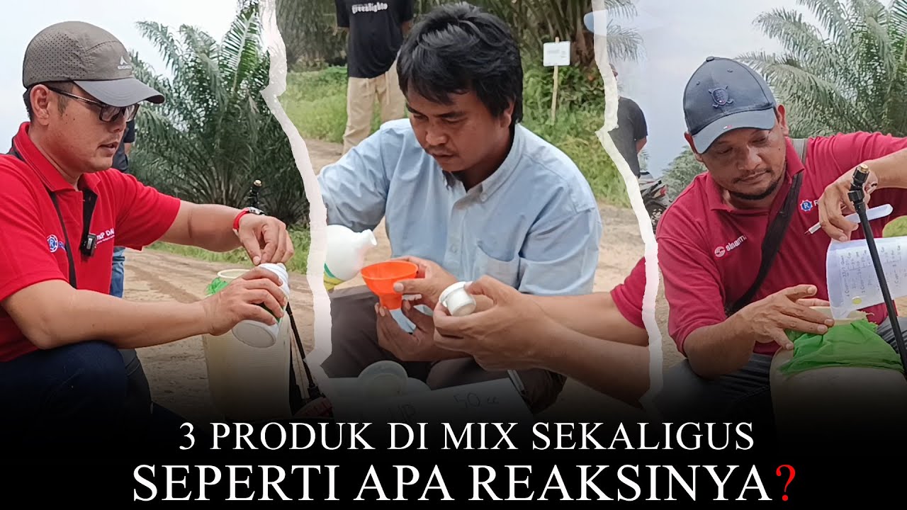Herbisida Mix Tangani Gulma campuran, Apakah ampuh?